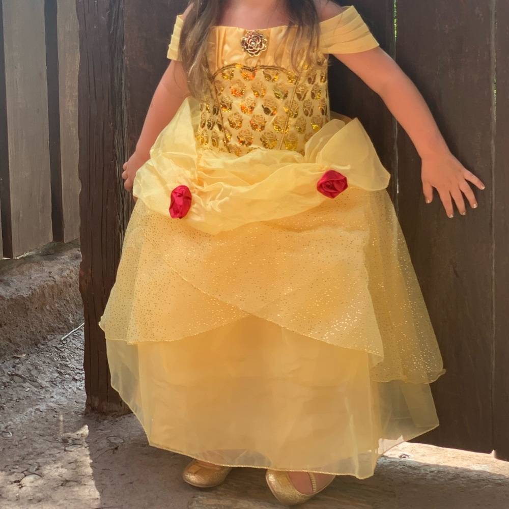 Disney Princess Dress • Belle